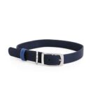 YOULY-The-Trailblazer-Blue-Wipeable-Dog-Collar-Large.jpg