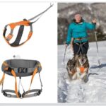 1788293810_YOULY-The-Classic-Blue-Webbed-Nylon-Dog-Harness-Small.jpg