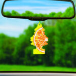 1788409643_Car-Air-Freshener-Sliced-Scent-12-Pack.jpg