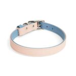 1790009387_YOULY-The-Heir-Pink-Blue-Dog-Collar-Medium.jpg