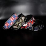 1790009391_YOULY-The-Heir-Pink-Blue-Dog-Collar-Medium.jpg