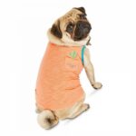 Bond-Co.-Cant-Touch-This-Dog-Tank-Top-Size-Medium.jpg