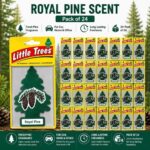 Car-Air-Freshener-Sliced-Scent-24-Pack.jpg