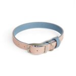 YOULY-The-Heir-Pink-Blue-Dog-Collar-Medium.jpg