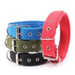 1791672901_Petco-Adjustable-Sport-Dog-Collar-in-Blue-Green-eye-catching-pattern-Medium.jpg
