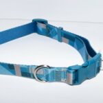 1791923468_Good2Go-Blue-Paisley-Dog-Collar-Medium-By-Good2Go.jpg