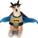 1791924396_DC-Comic-Justice-League-Wonder-Woman-Halloween-Dog-Costume-Size-Large.jpg