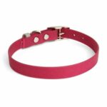 1792435880_YOULY-The-Trailblazer-Red-Wipeable-Dog-Collar-Medium.jpg