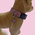 1792546041_Petco-Adjustable-Sport-Dog-Collar-in-Black-Red-eye-catching-pattern-Large.jpg