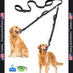1793268048_Good2Go-Purple-Nylon-Dog-Leash-12-Width-6-Length-SmallMedium-by-Good2Go.jpg