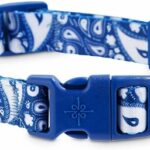 Good2Go-Blue-Paisley-Dog-Collar-Medium-By-Good2Go.jpg